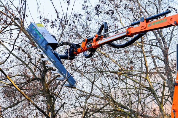 Gerät zum Zurückschneiden von Hecken, Sträuchern und Ästen unterschiedlicher Größe