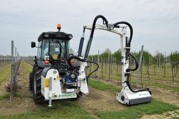 Juice 2019 (4) (Media)